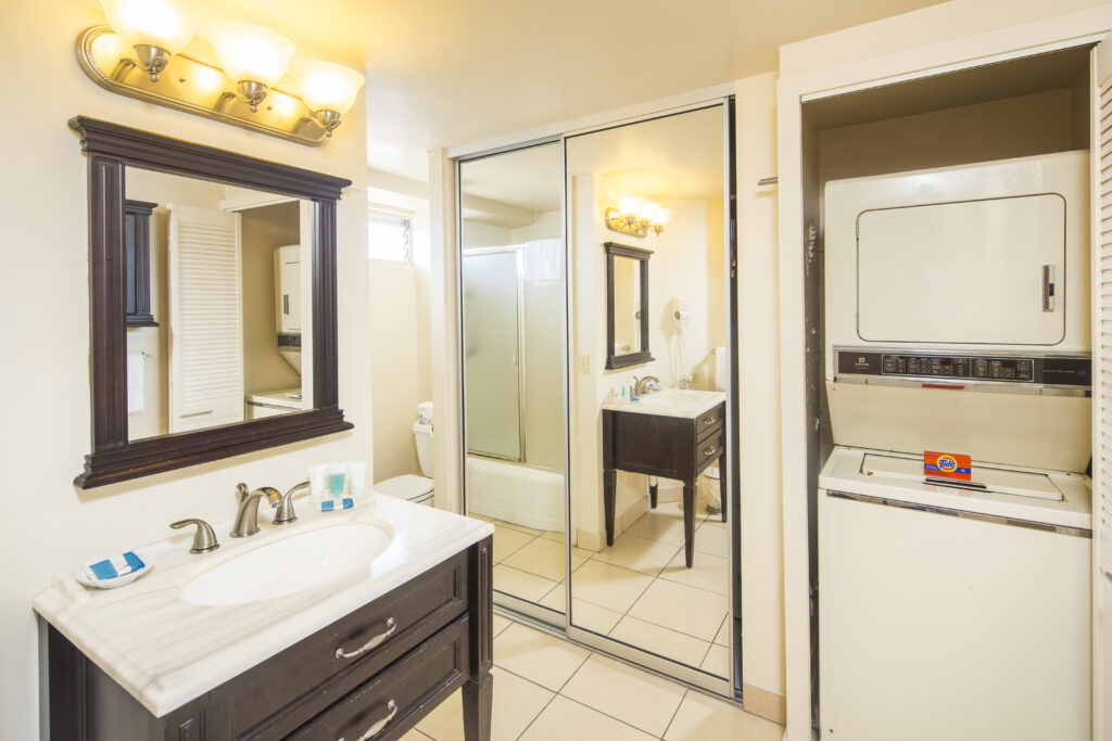 ステューディオ、バスルームの一例（全室室内に洗濯機・乾燥機がございます）