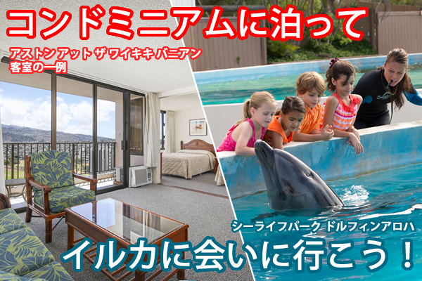 コンドミニアムに泊っているかに会いに行こう!